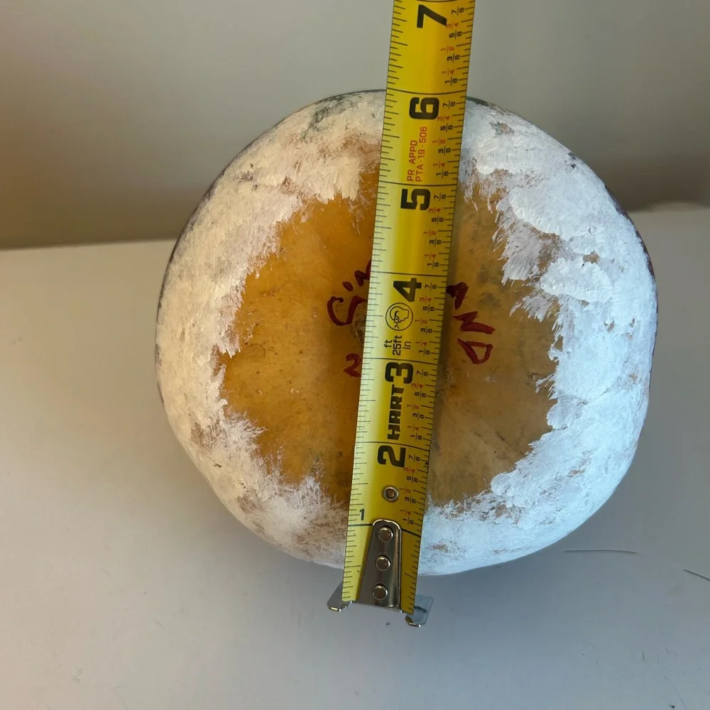 Santa Claus Gourd Hand‎ Painted 8” Christmas Folk Art Primitive Rustic Cin Land